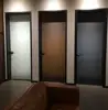 Aluminium Frame Interior Frosted Glass Bathroom Entry Doors Design