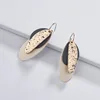 Boho unique jewelry Elliptical Geometry Leaf Multilayer Alloy hook drop Earrings