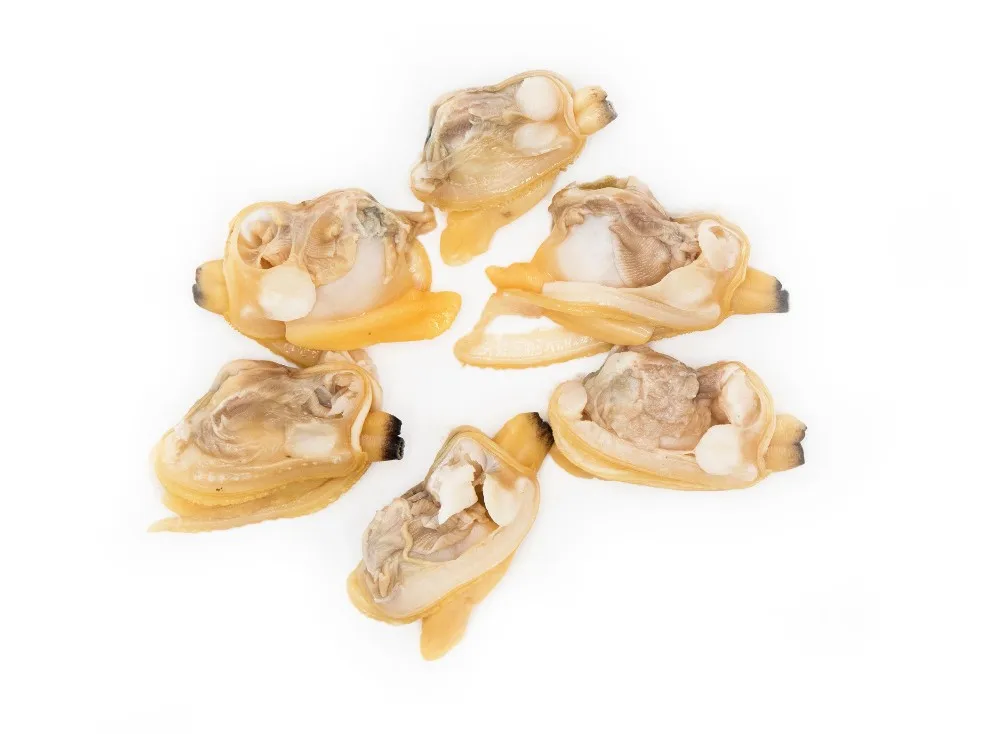 Good Price New Season Clam Frozen Clam Meat Buy Clam Meat,Clam Meat