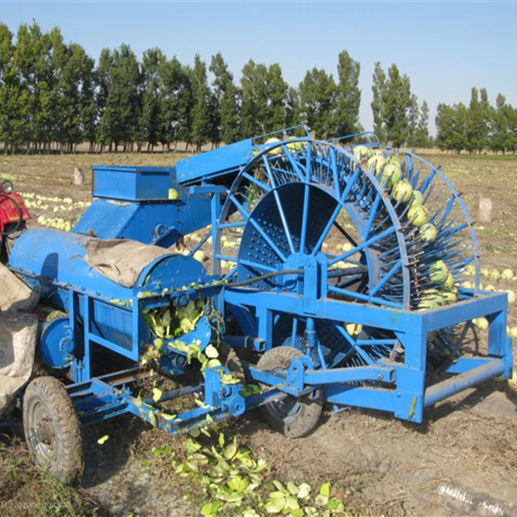 Hig Efficiency Melon Pumpkin Seed Extractor Buy Pumpkin Seed