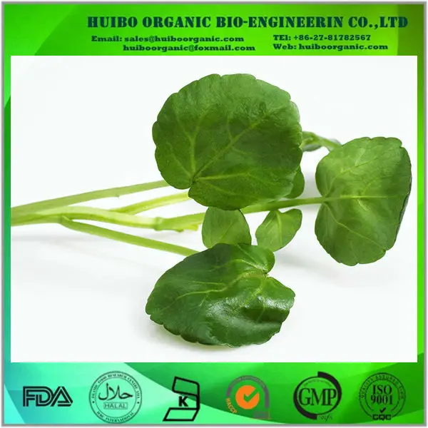 watercress powder-source quality watercress powder