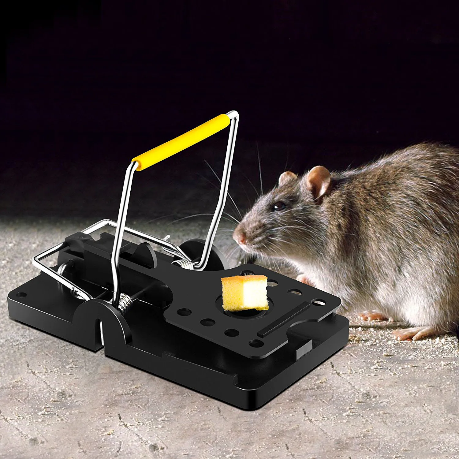 HUX EYE Humane Mouse Trap 6-Pack