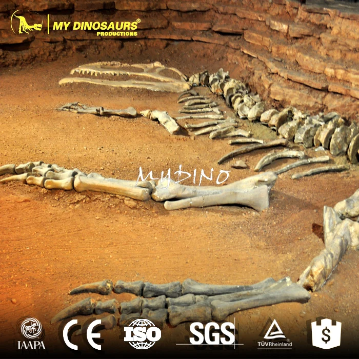 dinosaur excavation sites