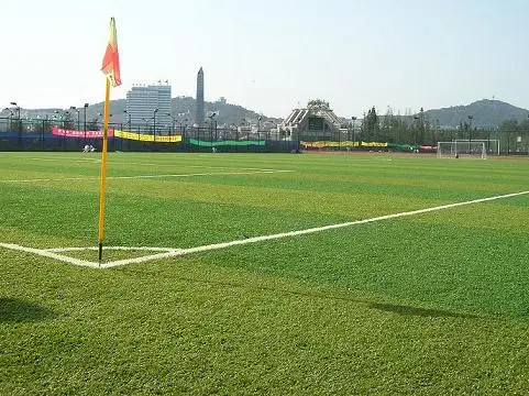 Soccer Court.jpg