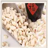 peanuts importers in uae
