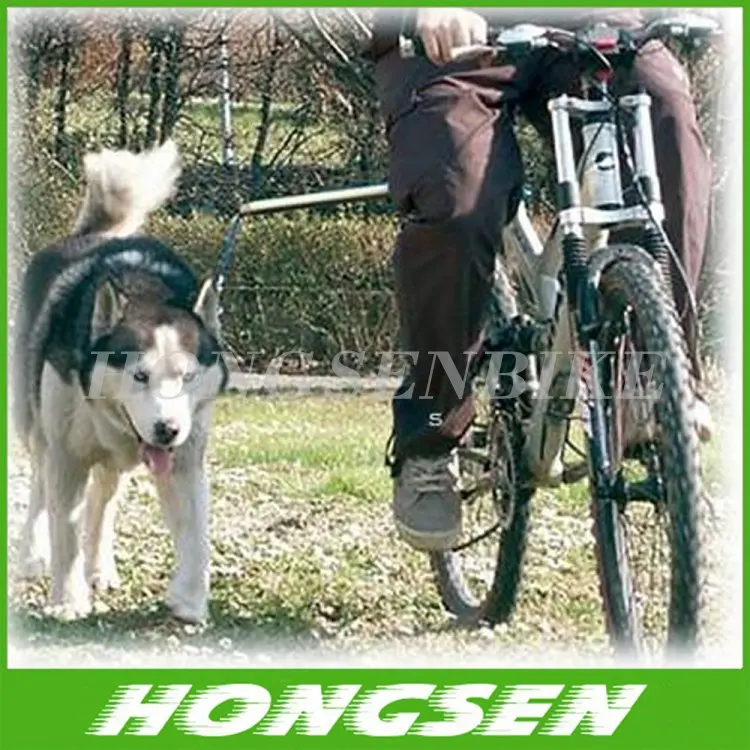 Berjalan Naik Dengan Anjing Peliharaan Siklus Tali Sepeda Sepeda