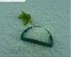 2018 very cheap and quality control PBT impact plasticizer