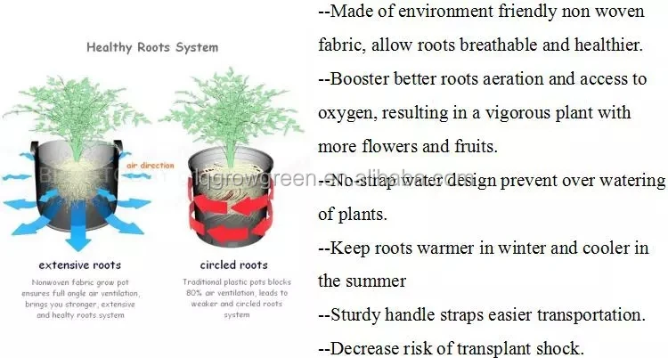 Prevents roots from circling and improve overall root structure grow bag  for Growing Potato Tomato Vegetables Plant