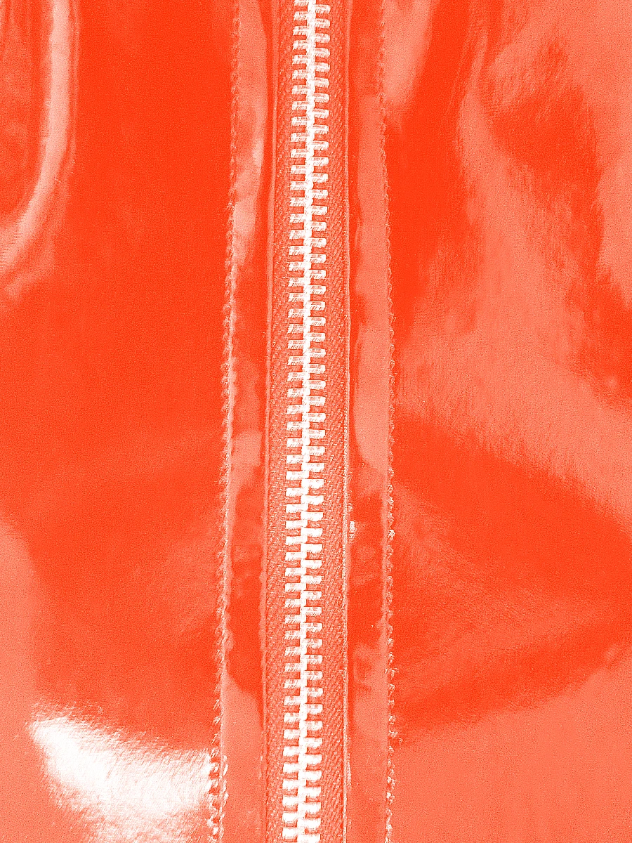 P8966.jpg