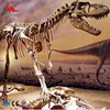 Special design show case dinosaur skeleton