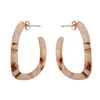 Jelly color irregularity C shape fresh resin Earring