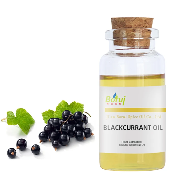 Supply High Quality Natural Organic Black Currant Oil Buy Black