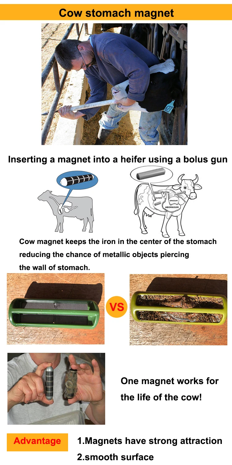 All Kinds Agriculture Rumen Stainless Steel Rod Cow Help Prevent