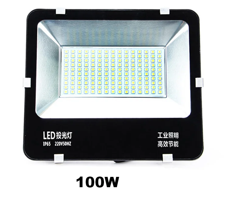  6(100W).jpg