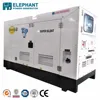 EPA Engine 25KVA China Engine Yangdong Cabinet Diesel Generator