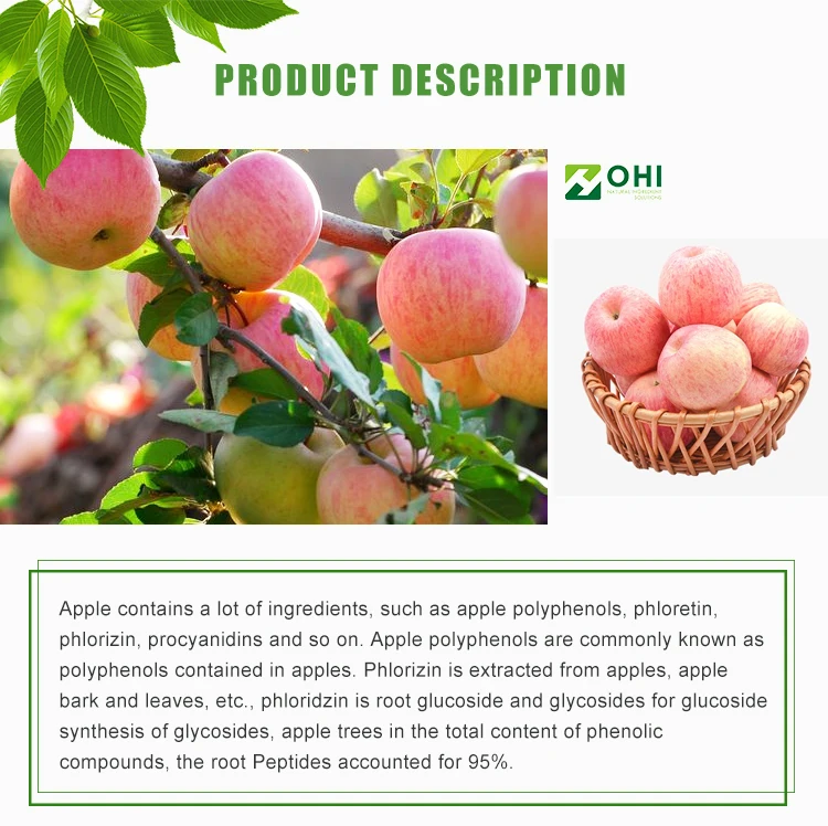 Polyphenols Extract Red Apple Fruit Extract / Organic Apple Cider