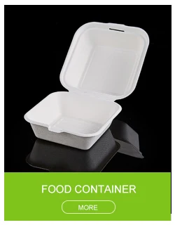 PAMI Sugarcane 100% Biodegradable 8 Clamshell Food Containers With