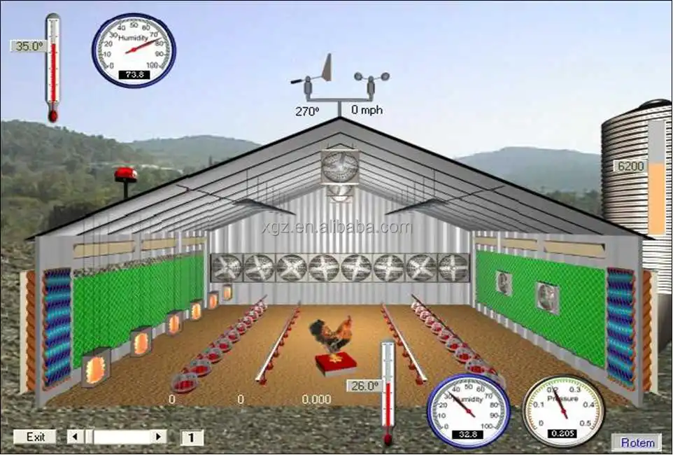 Automatic Device Chicken Egg Steel Poultry Farm Design Supplier China