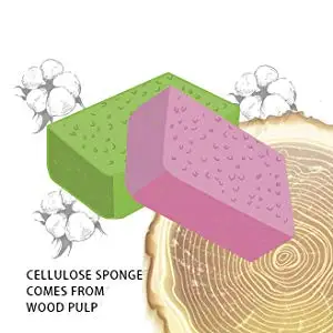 cellulose sponge 57.jpg