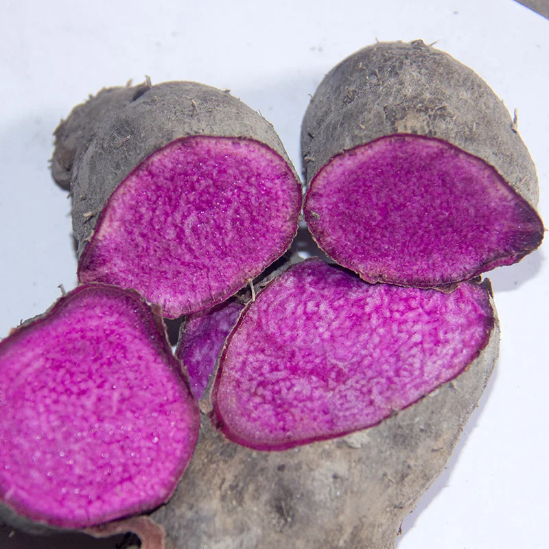 Chinese Purple Vegetable Yam Seeds Buy Yam,Purple Yam Seed,Yam Seeds