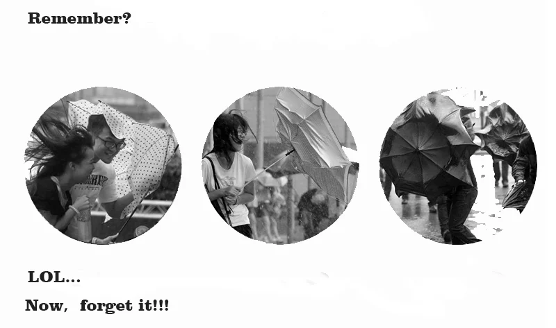 fantastic magic umbrella