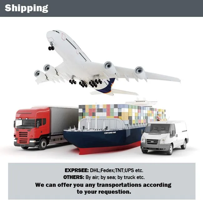 HTB1RIi6NXXXXXcIXpXXq6xXFXXXP