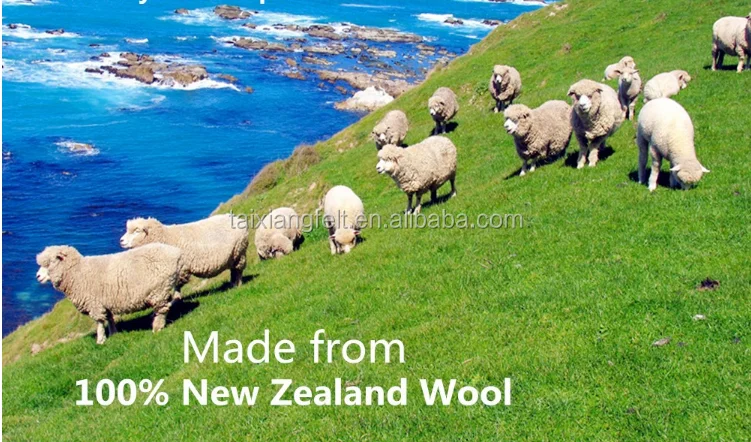organic New zealand sheep wool