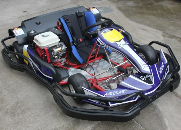 Rental Go Kart With Bumper For Track Racing - Buy Rental Electric Go Karts For Sale,Solar 