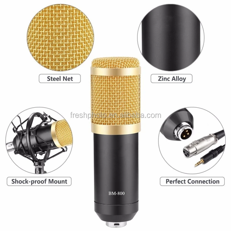 microphone 5.jpg
