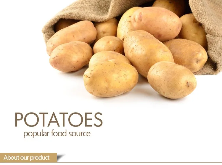 Potato Wholesale Price