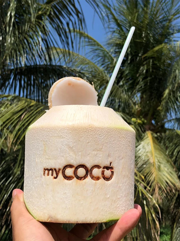 coconut peeling machine4.jpg