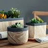Lifelike wood surface cheap wholesale concrete garden pot / big home decor ceramic succulent pots for decoration