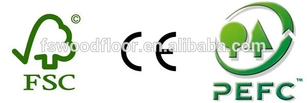 paste-pic-dp_uuid_37iiw