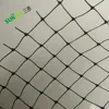 PP extrude bird control netting for orchard protection,black agricultural anti bird net,table grapes protection bird barrier net