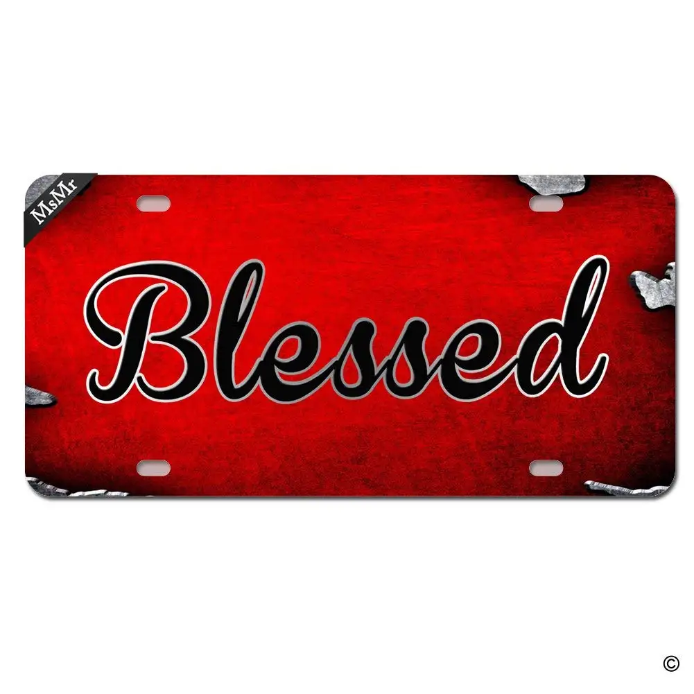 MsMr Funny License Plate Cover with 2 Holes Blessed Designed Decorative Metal Car License Plate Auto Tag
