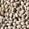 Small white kidney beans (japan white)