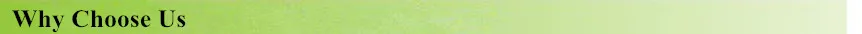 Why Choose Us.jpg
