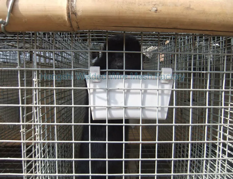 Welded Wire Mesh Animal Cages Buy Mouse Breeding Cage,Cage For