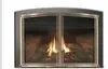 Fireplace Inserts The Focus