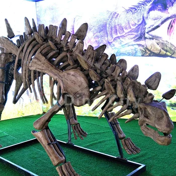 most complete stegosaurus fossil