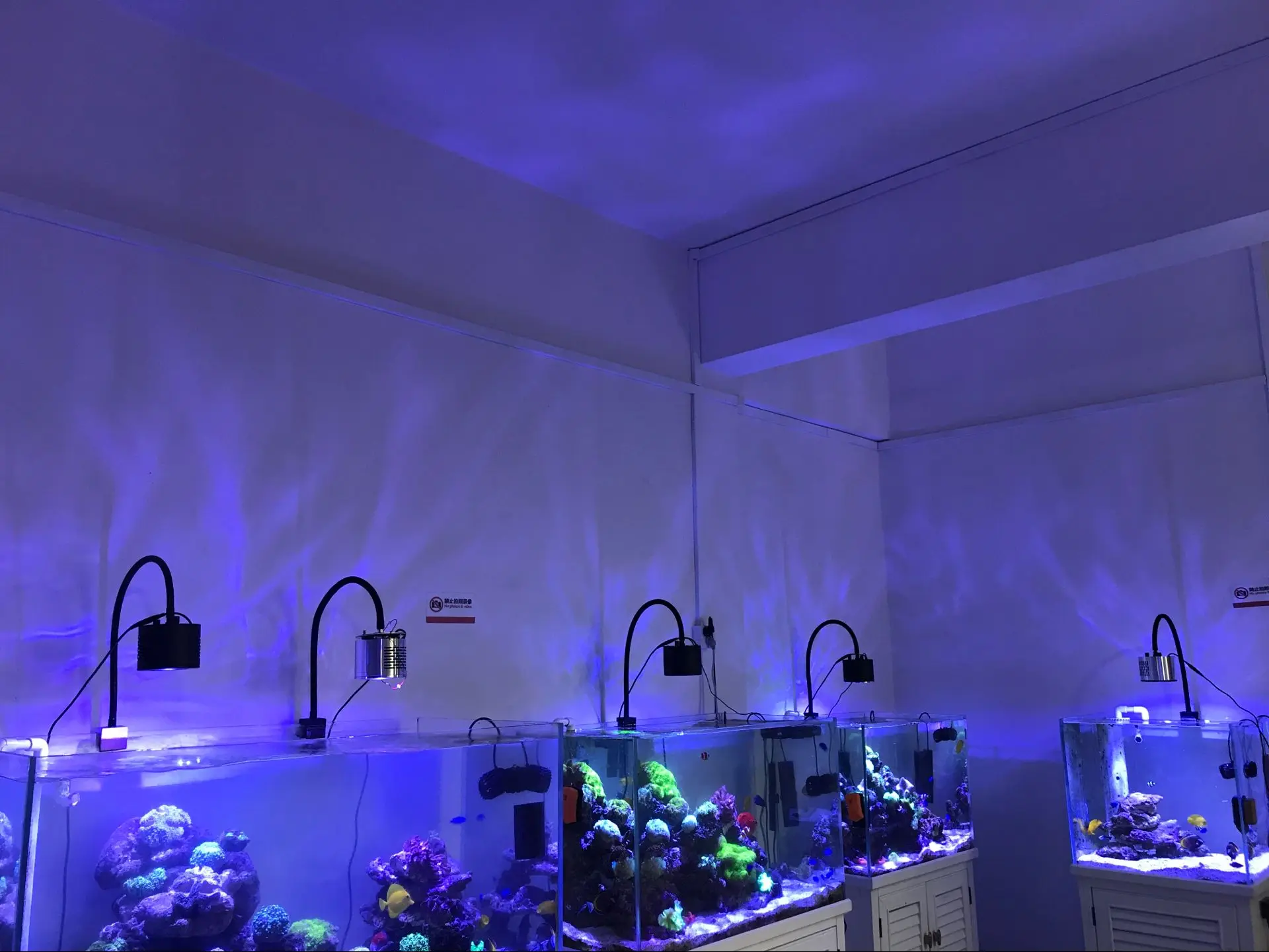 shanda-marine-led-lamp-reef-coral-led-light-xl-01-buy-aquarium-led