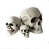 Halloween Costume Realistic Looking Skeleton Human Head Bone Best Inflatable Halloween Decoration