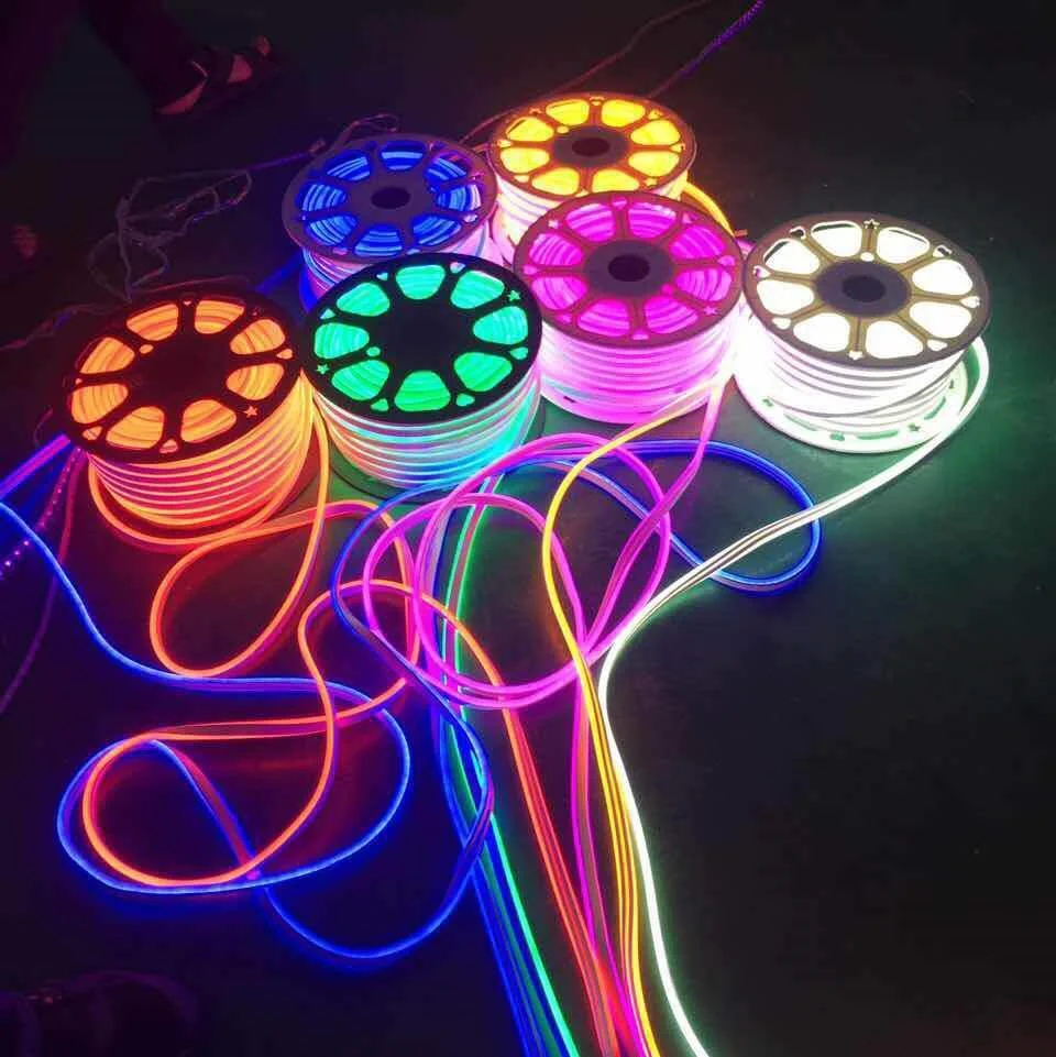 110V 220V Professional Led Neon Rope Light Outdoor Led Strip neon Light