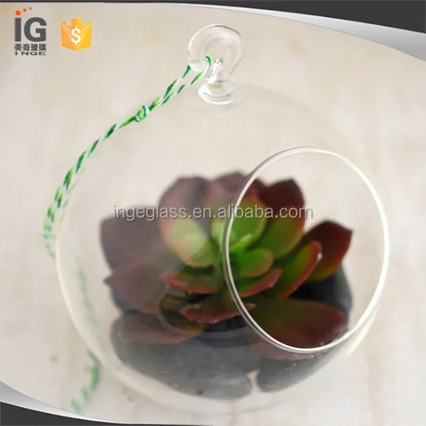 Clear Glass Hanging 45 Inch Round Ball Air Plant Terrarium Globe Buy Clear Glass Hanging 1799