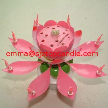 Original Incroyable Lotus Fleur Bougie D Anniversaire Musicale Buy Bougie D Anniversaire Bougie De Musique De Petale De Lotus Bougie De Musique De Fete D Anniversaire De Mariage Product On Alibaba Com