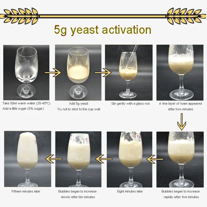 Wine Yeast For Alcohol Fermentation Making Aromatic Fruit Wine Buy