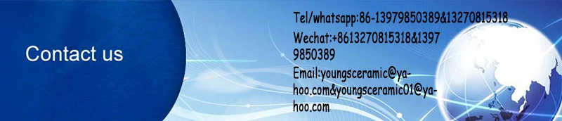 ceramic famile rose vase