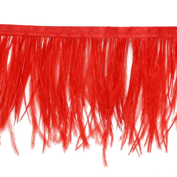 Custom 10cm Multi Color Long Ostrich Feather Plumes Fringe Trim for Party Clothes (6).jpg