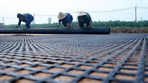 HDPE Plastic geogrid 