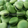 Dry Broad Bean WIth Shell Horse Bean